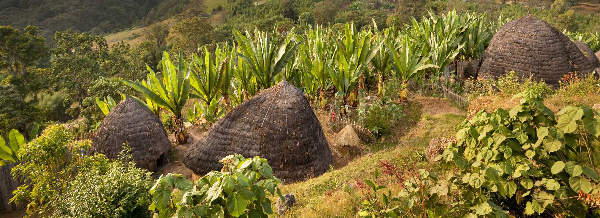 Huts of the Dorze people, Ethiopia