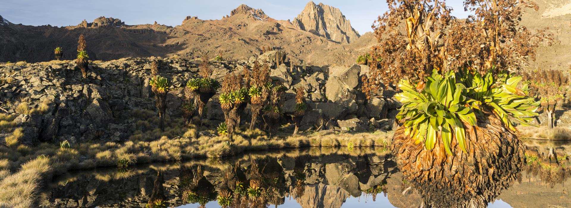 Kenya Highlands Landscape