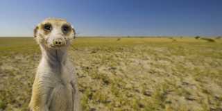 makgadikgadi pans