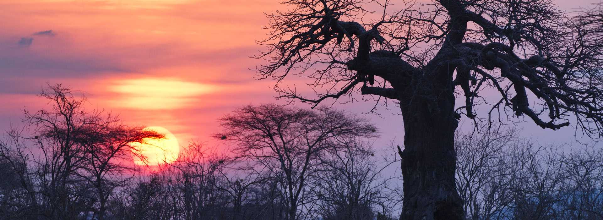 Stunning sunset in Ruaha, Tanzania