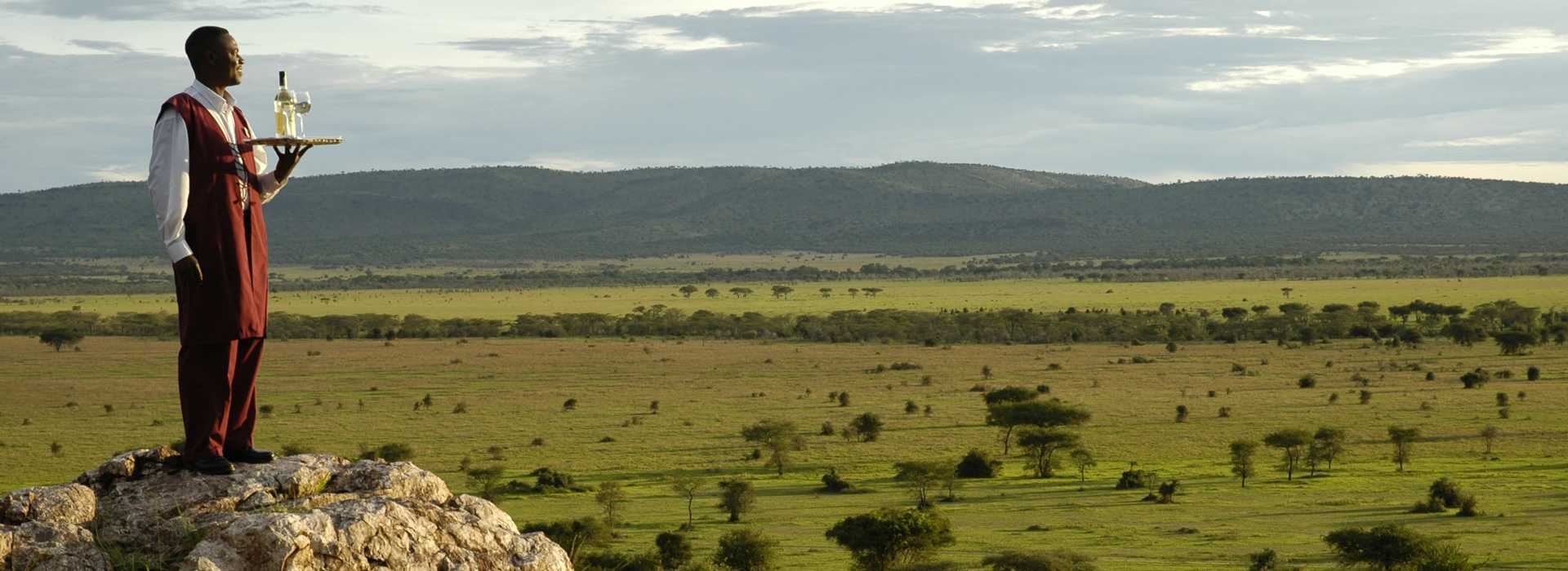 View over the Serengeti plains, Tanzania