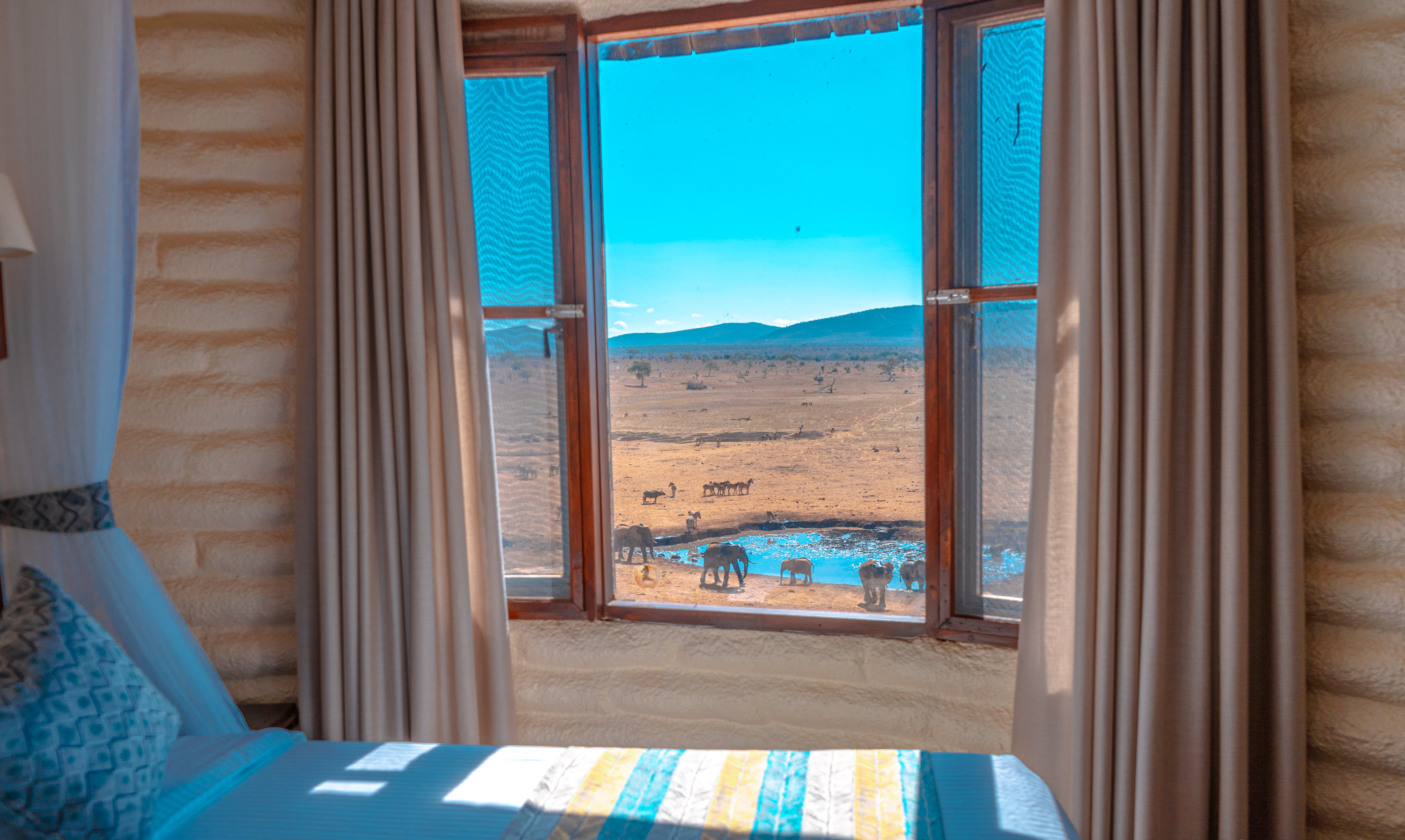 Salt_Lick_Lodge_-_Water_Hole_Rooms__1_.png