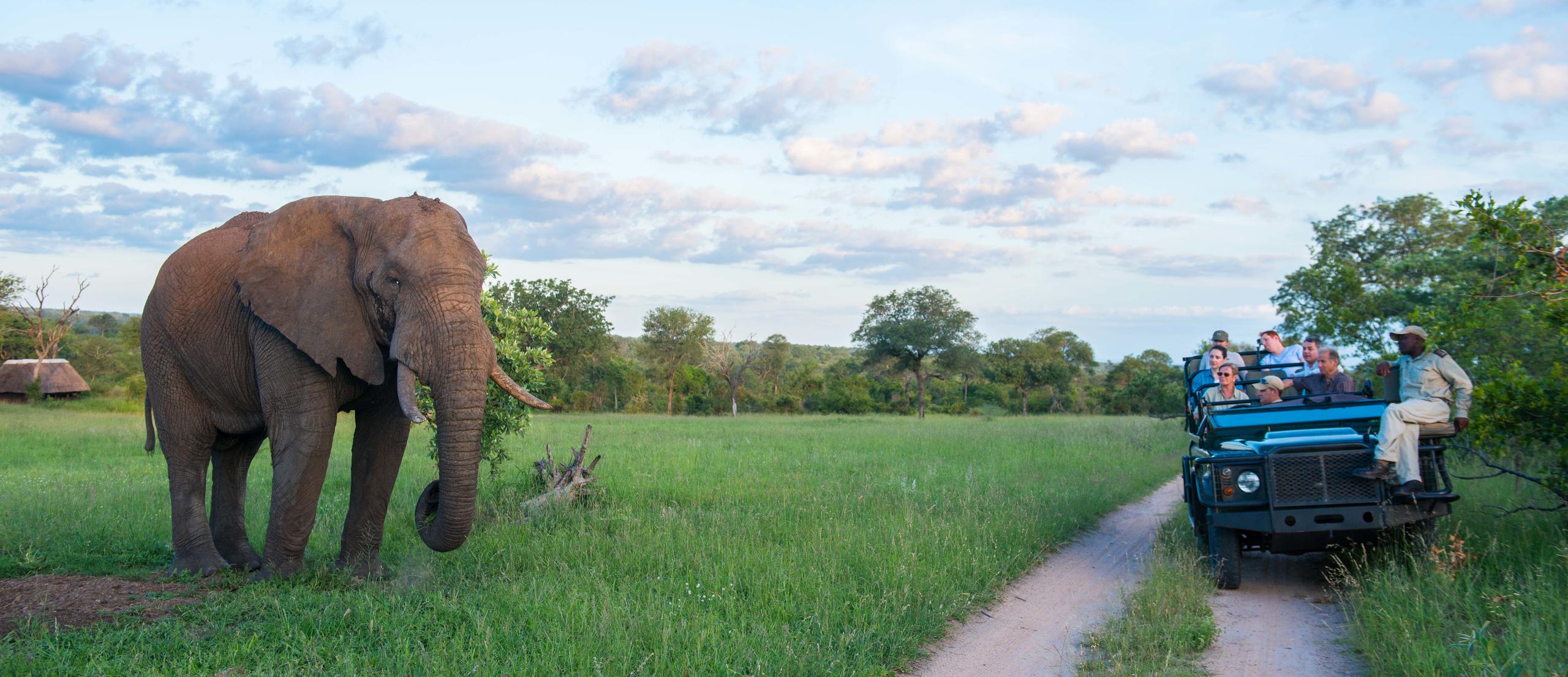 safari_49.jpg