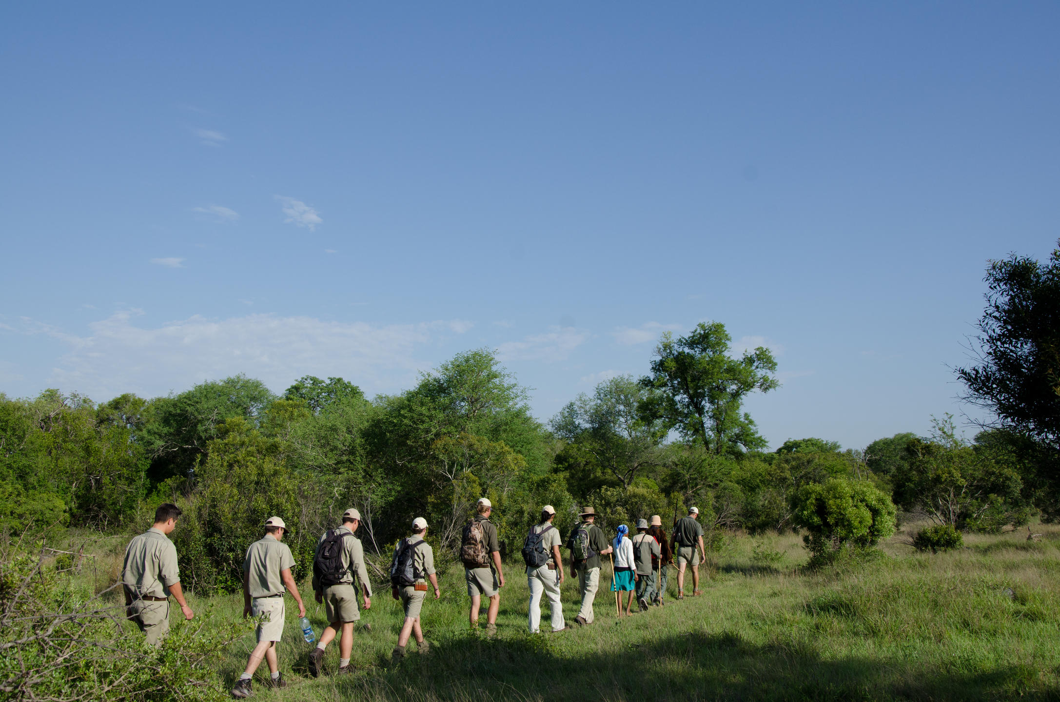 walking_safari.jpg