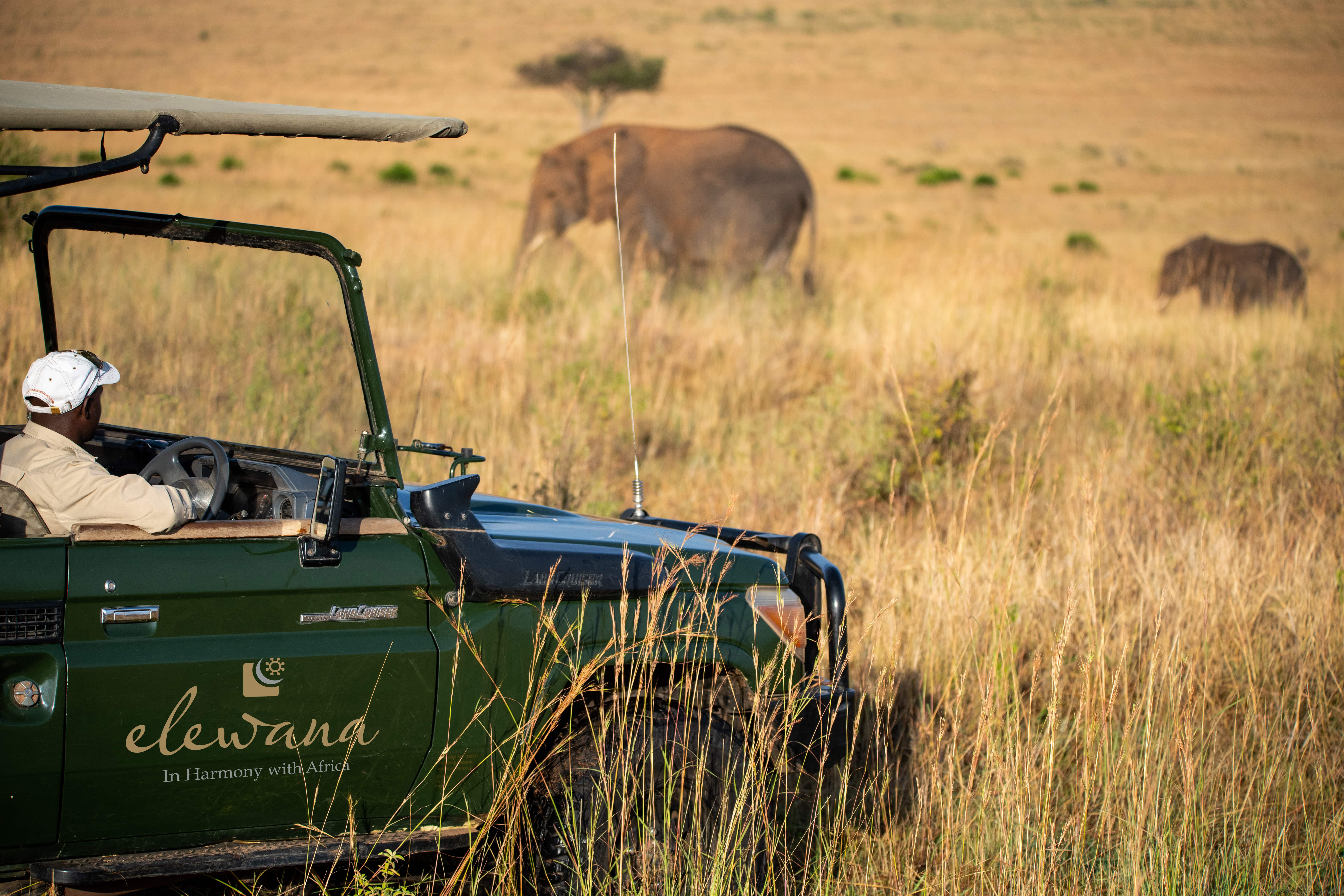 Elewana_Sand_River_Game_Drive.jpg