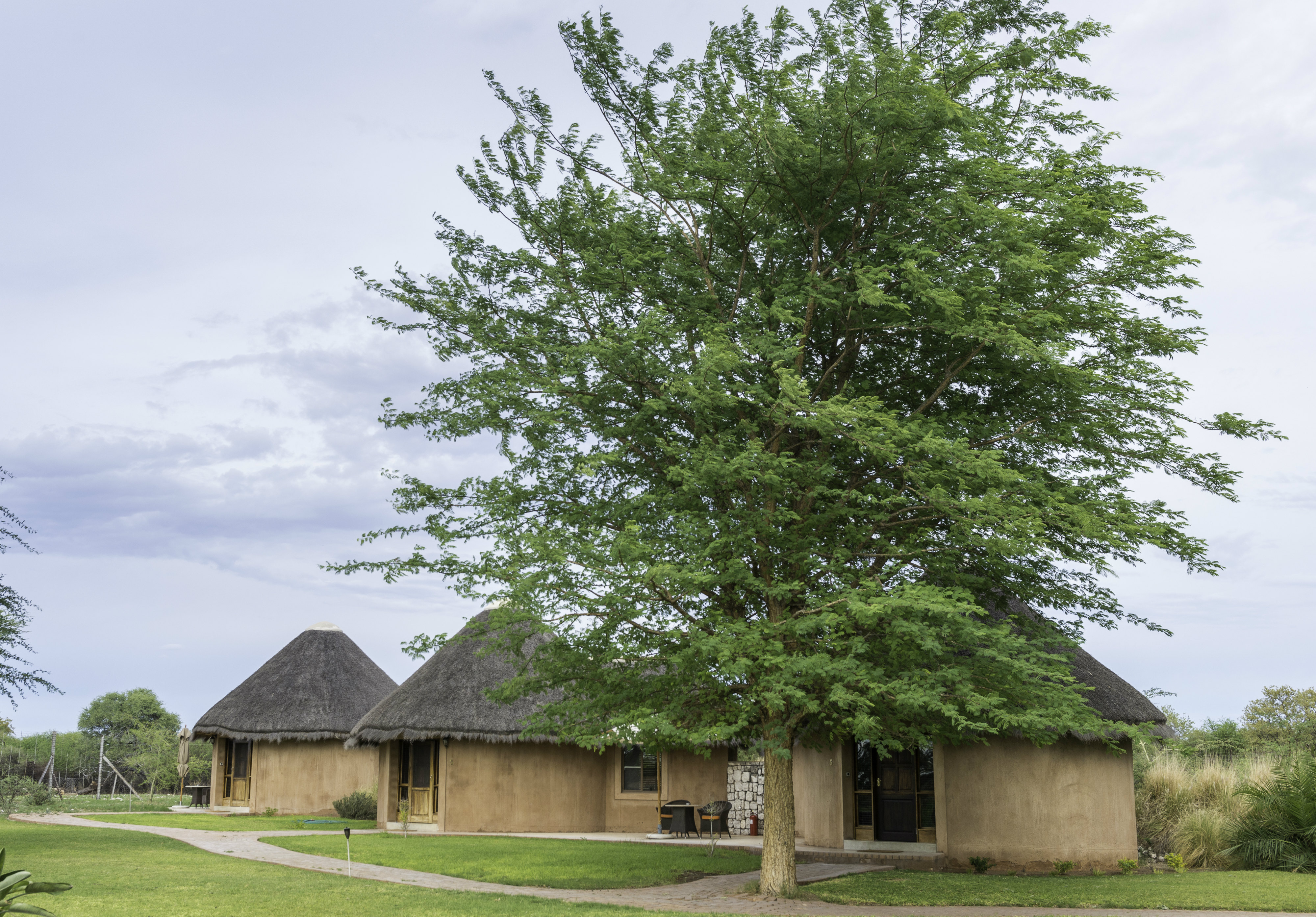 Onguma_Bush_Camp_Rondavels.jpg