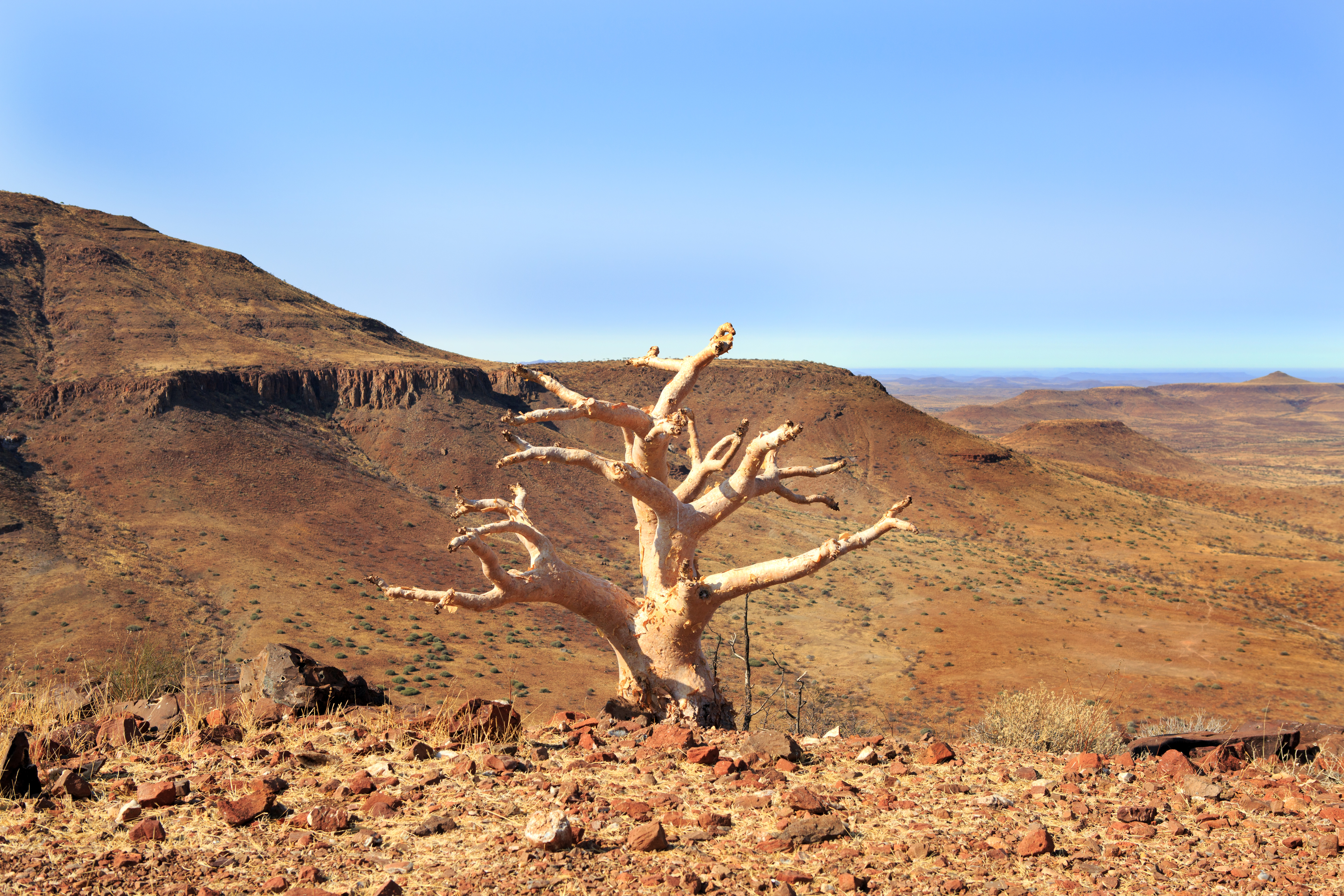 SH7A5227_edited-1.jpg