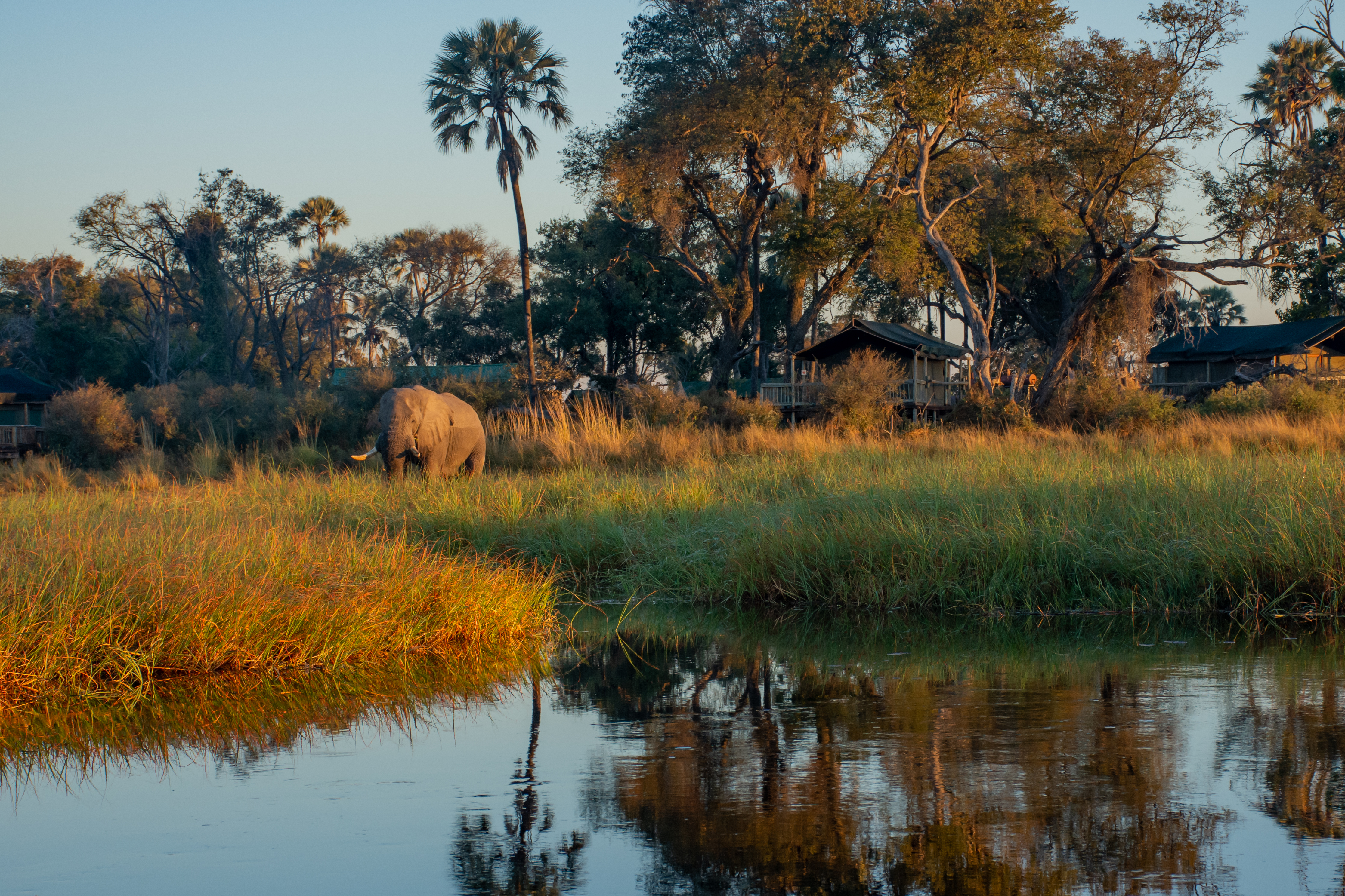 Moremi_Crossing_-_Tented_Suite_-_9.jpg