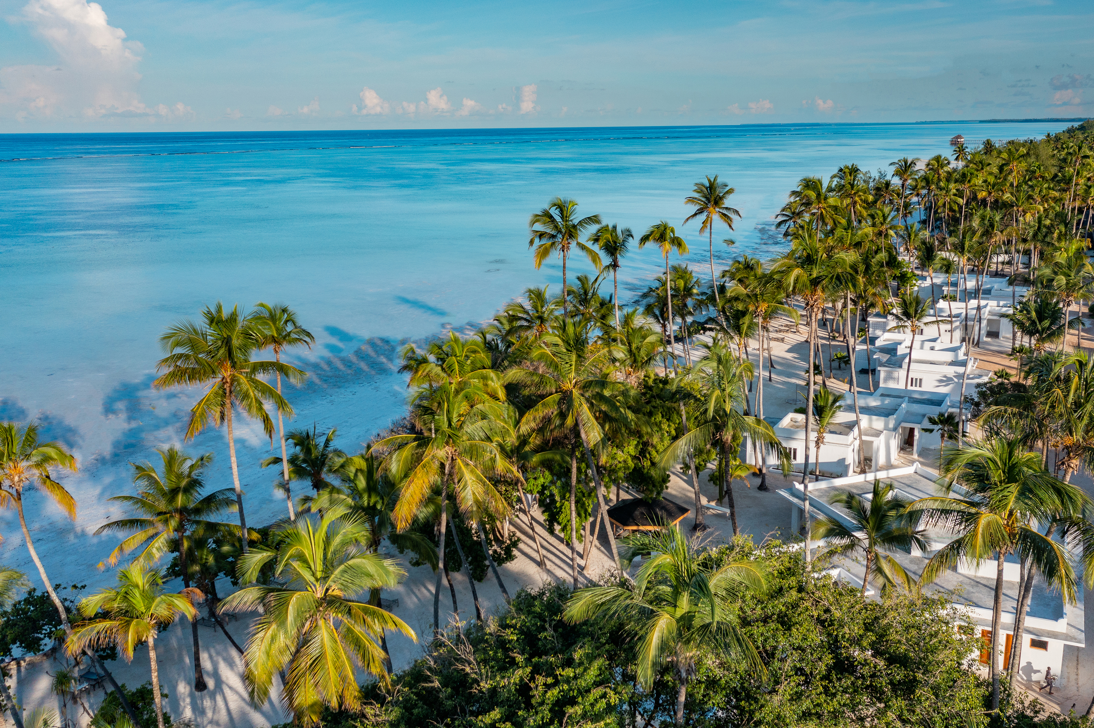 DJI_0905_PS_3.jpg