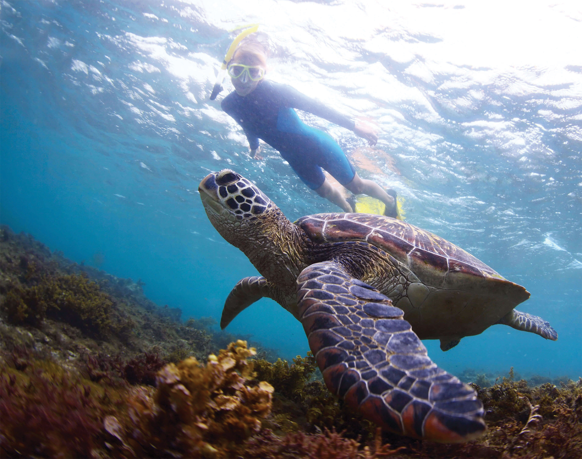 Snorkelling_in_Tangalle.jpg
