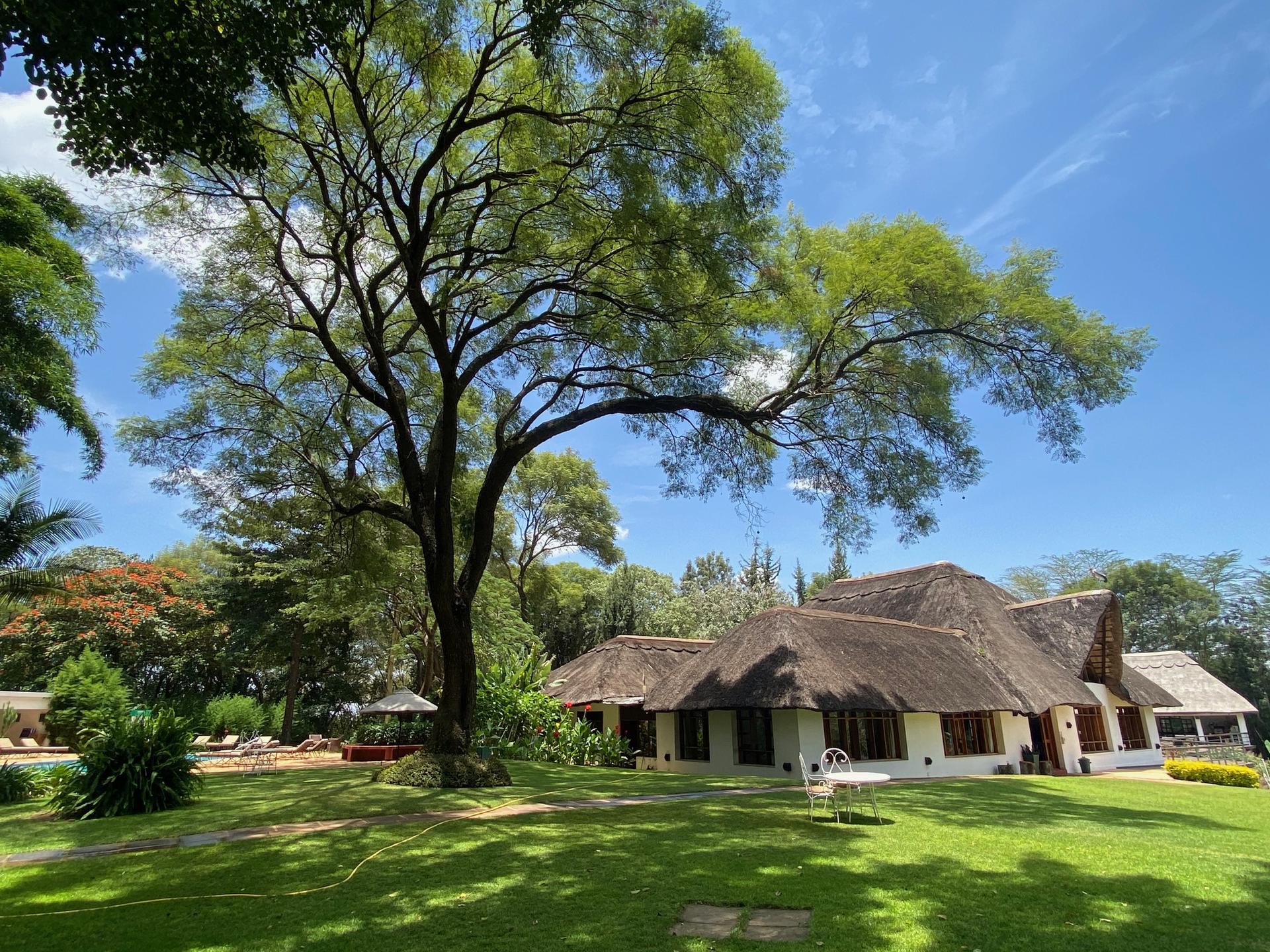 Ngorongoro_Farm_House.jpg