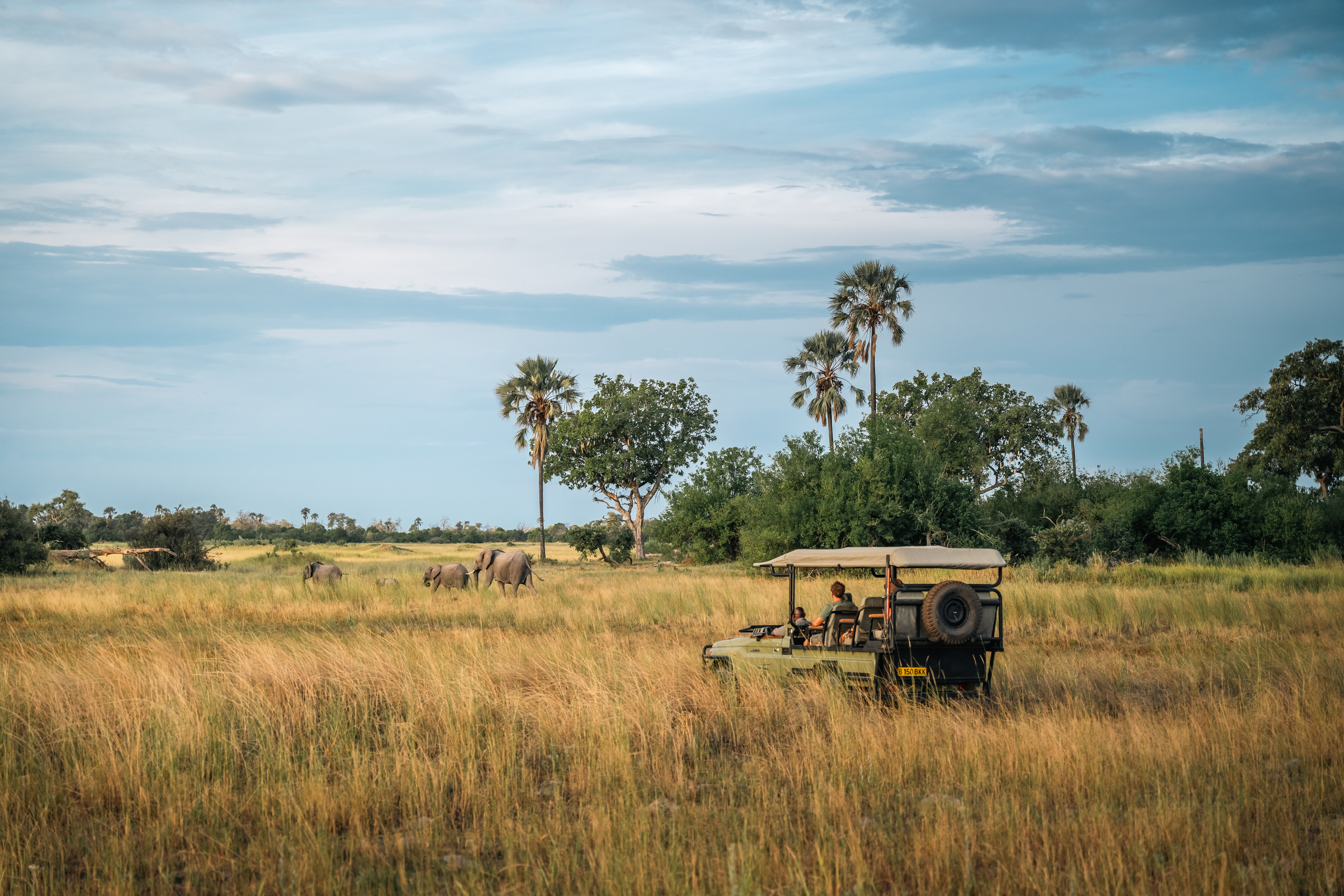 Botswana Flying Safari & Victoria Falls 