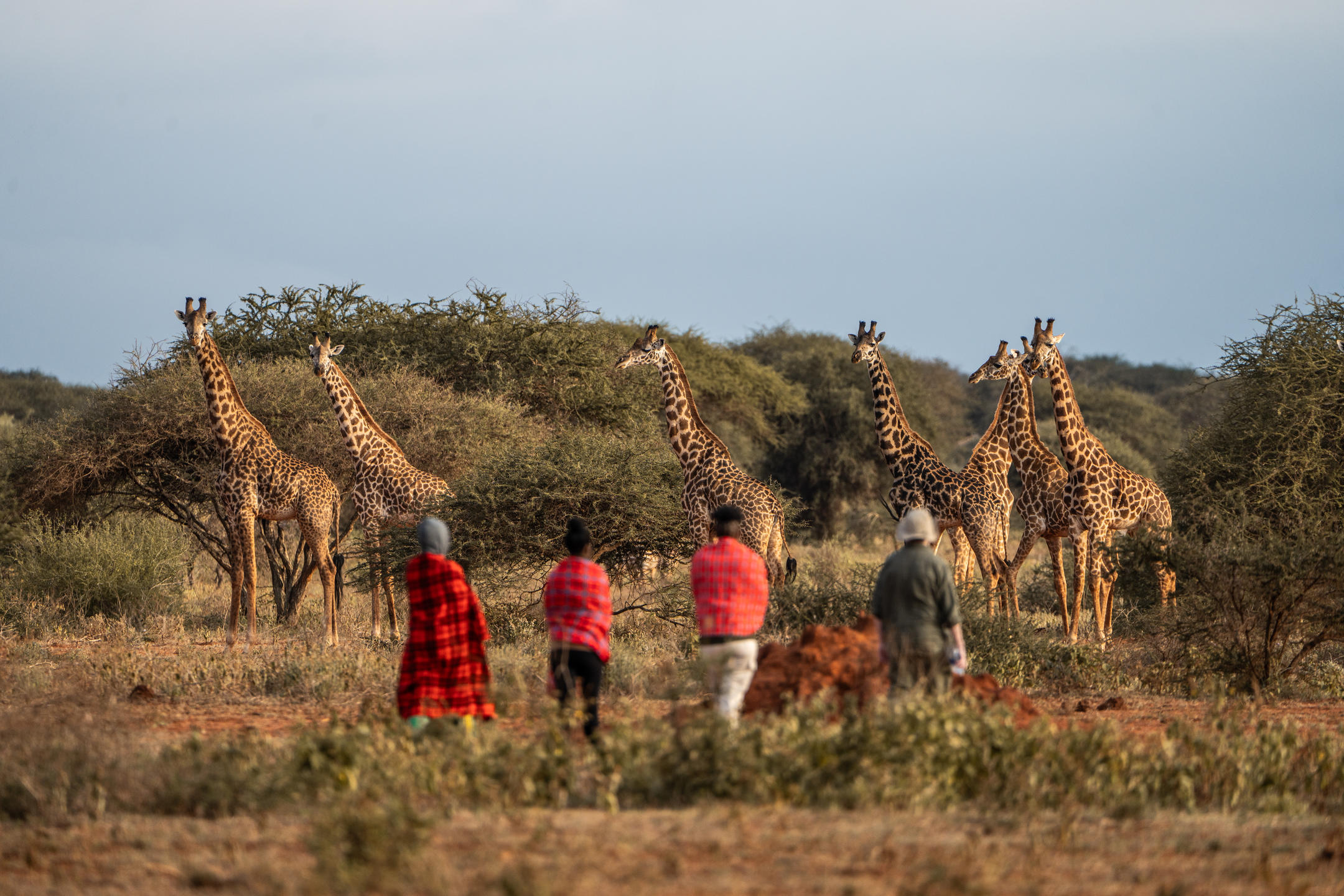Kenya Soroi Collection: Luxury Beach & Safari 
