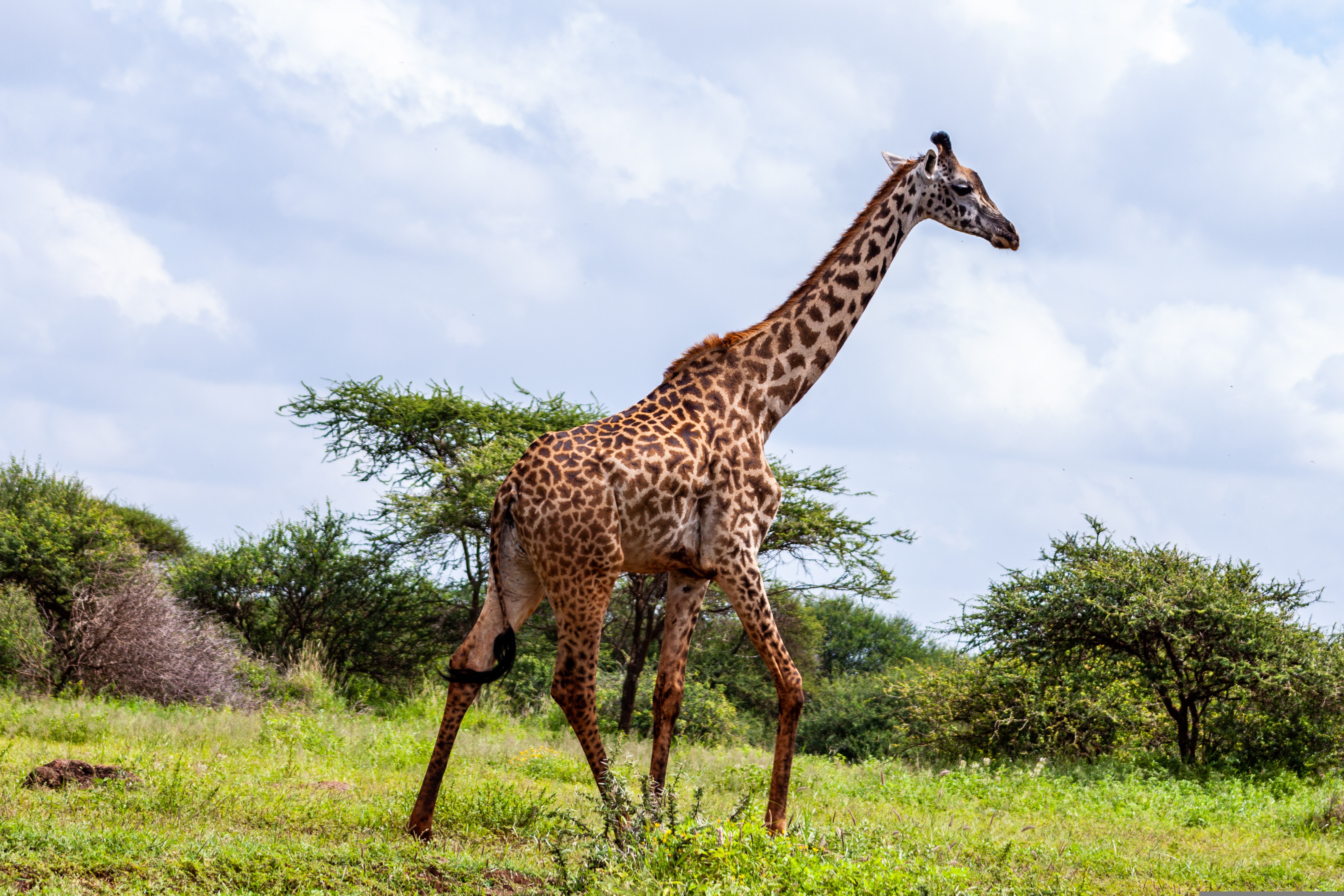 Kenya: Astro Tourism & All-Inclusive Beach 