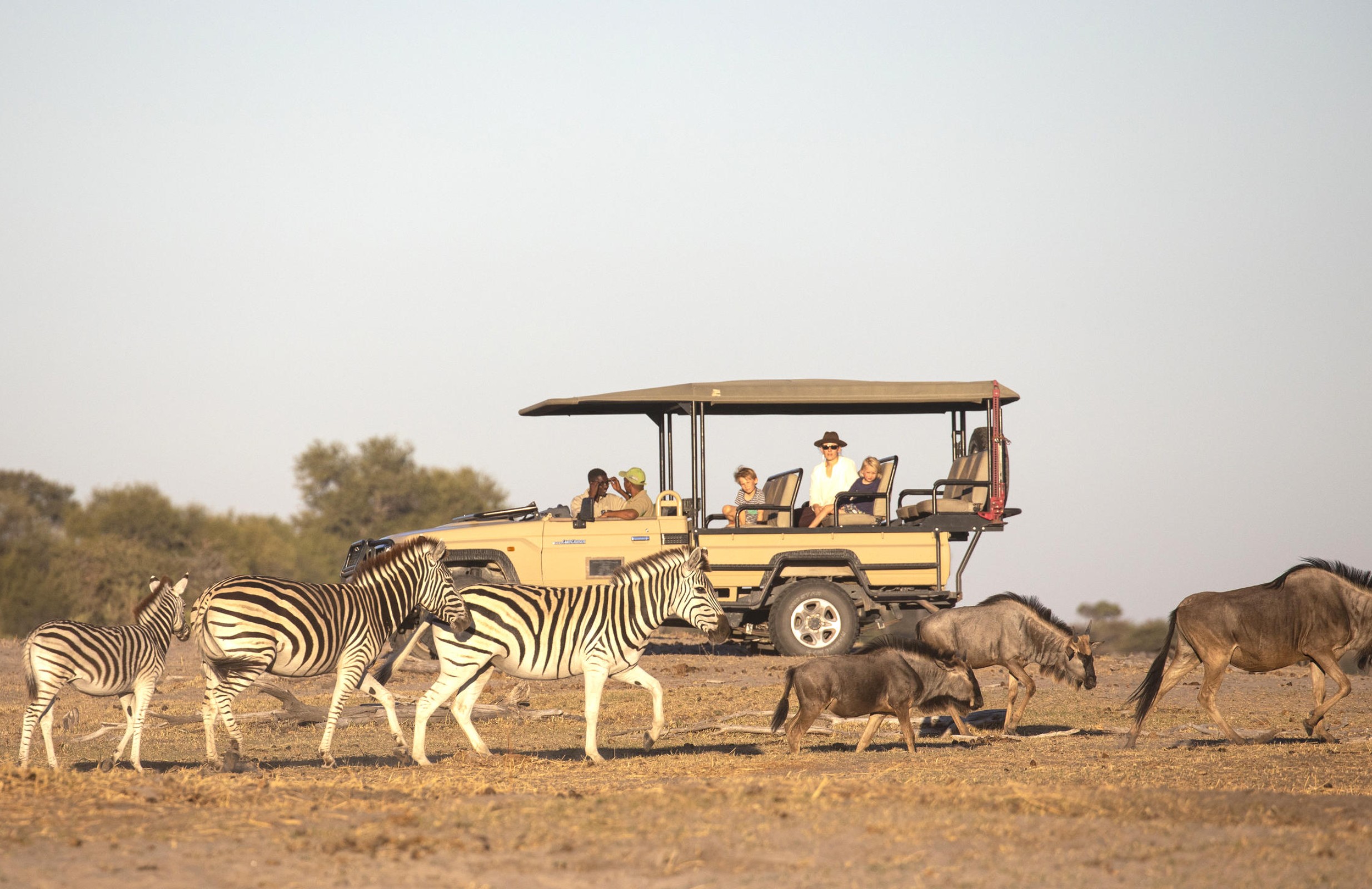 Botswana & Zambia: Luxury Flying Safari 