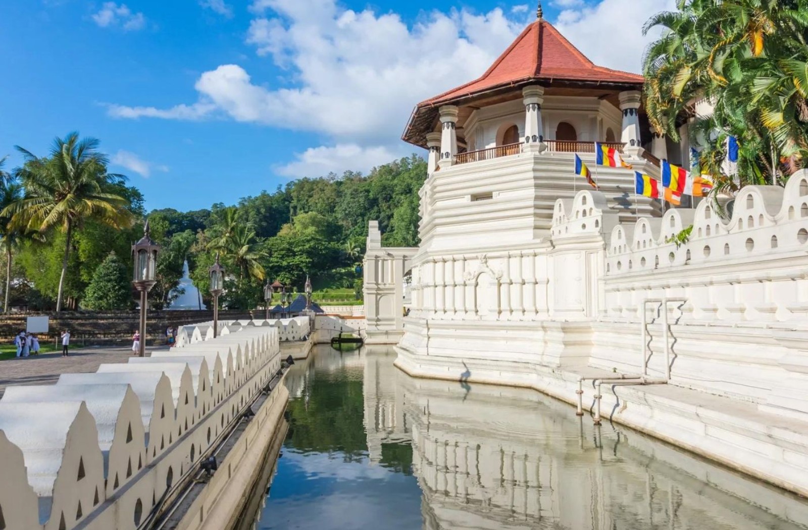 Sri Lanka: Hill Country Elegance and Coastal Calm 