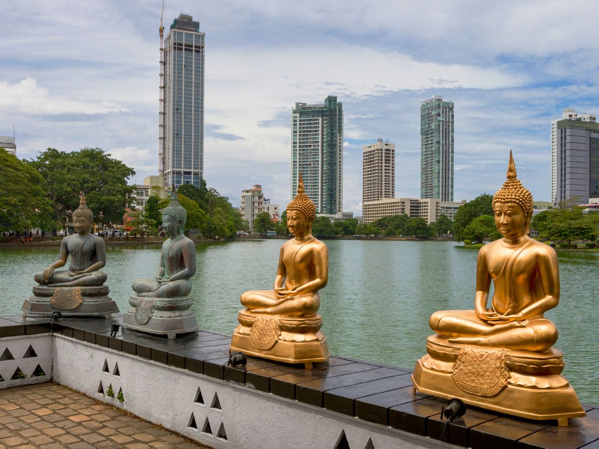 Voyage Through Sri Lanka’s Finest Experiences