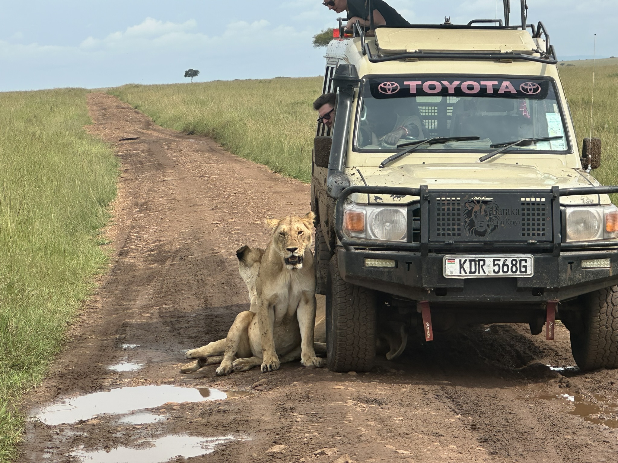 Kenya Safari & Tanzania Escape