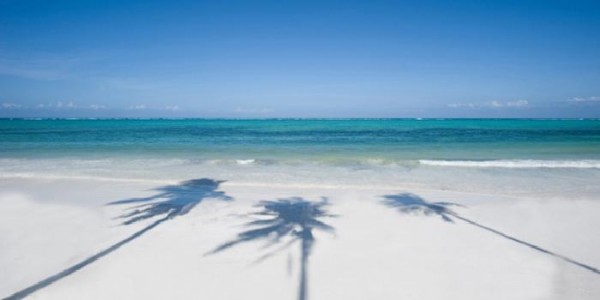 Shadows of palm trees on a Zanzibar beach