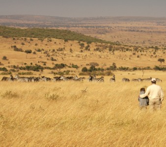 Bush Walk At Cottars