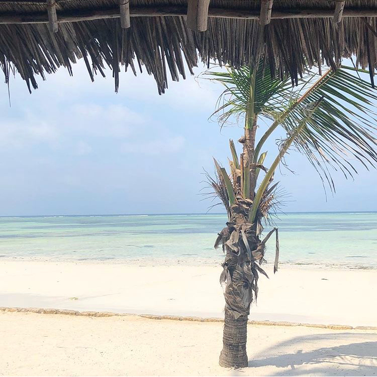 Beach in Zanzibar