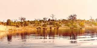 Chobe River in Botswana