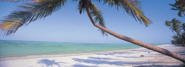 Zanzibar beach in Tanzania