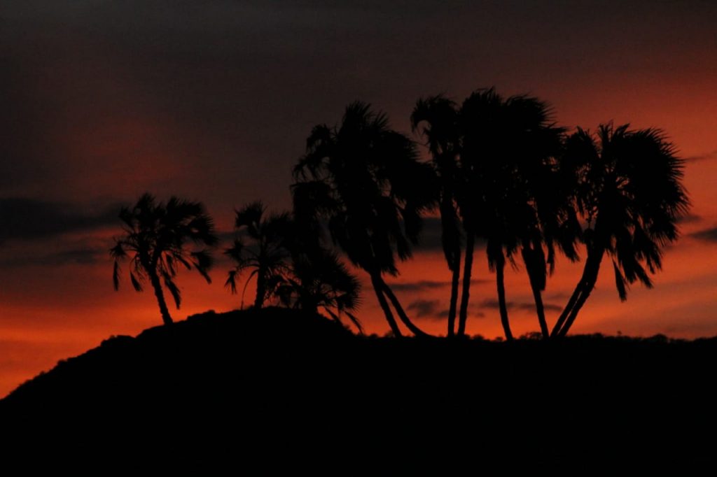 Sunset in Samburu