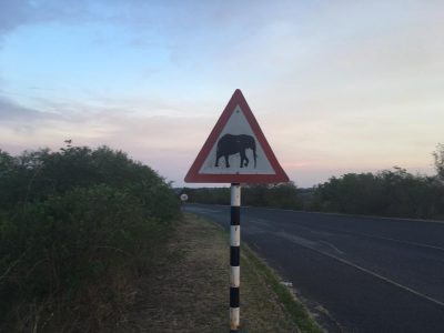 Elephants crossing road sign