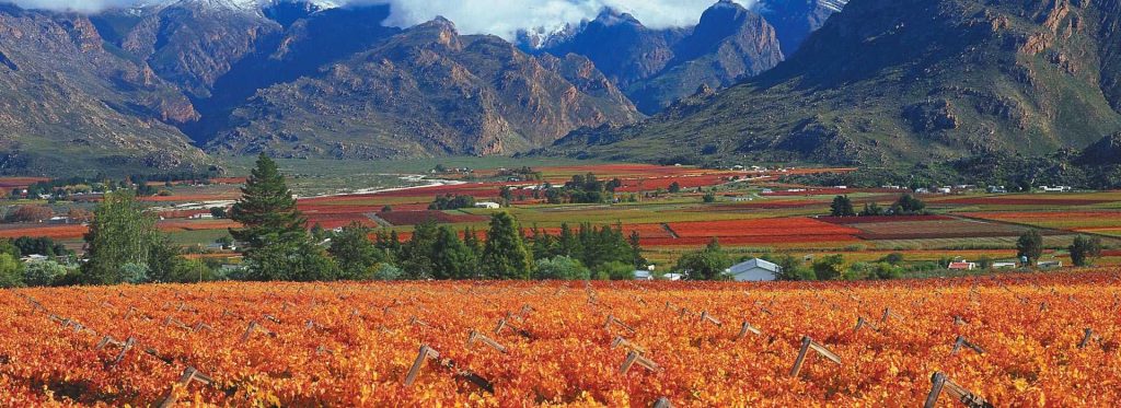 The stunning Cape Winelands, South Africa