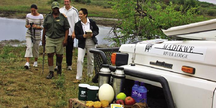 Madikwe National Reserve, South Africa Safari