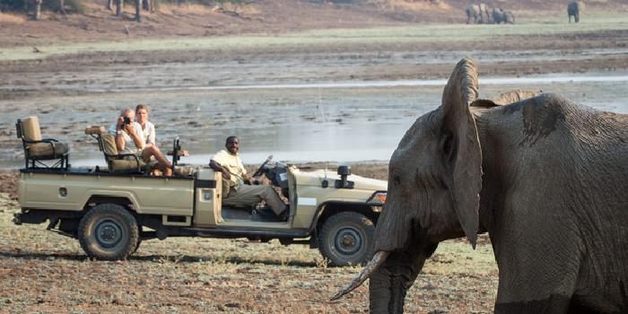 Elephant spotting by the waterhole on holiday in Zambia