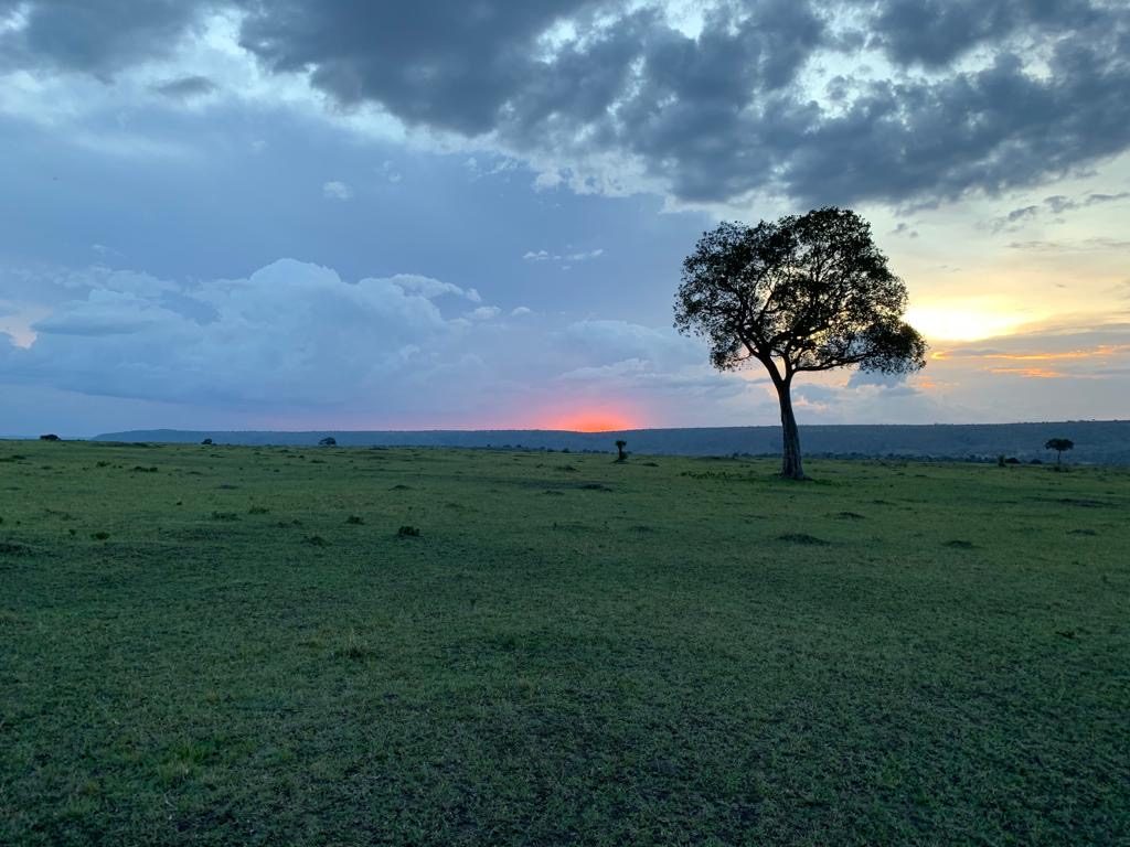 Sunset in Loisaba