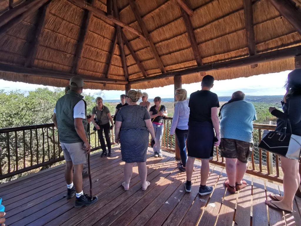 A viewing platforms at The Shamwari Big Cat Sanctuary