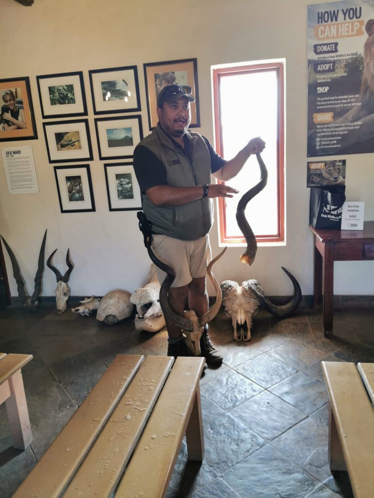 Educational sessions at The Shamwari Big Cat Sanctuary