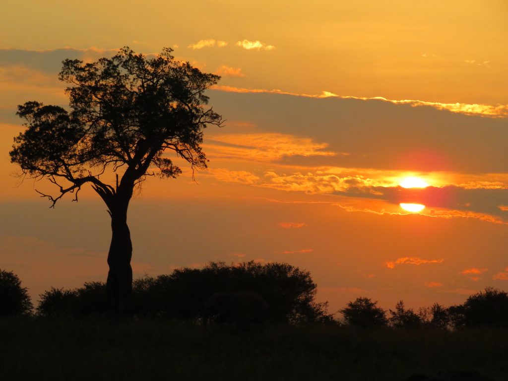 Beautiful African Sunset over the Masai Mara