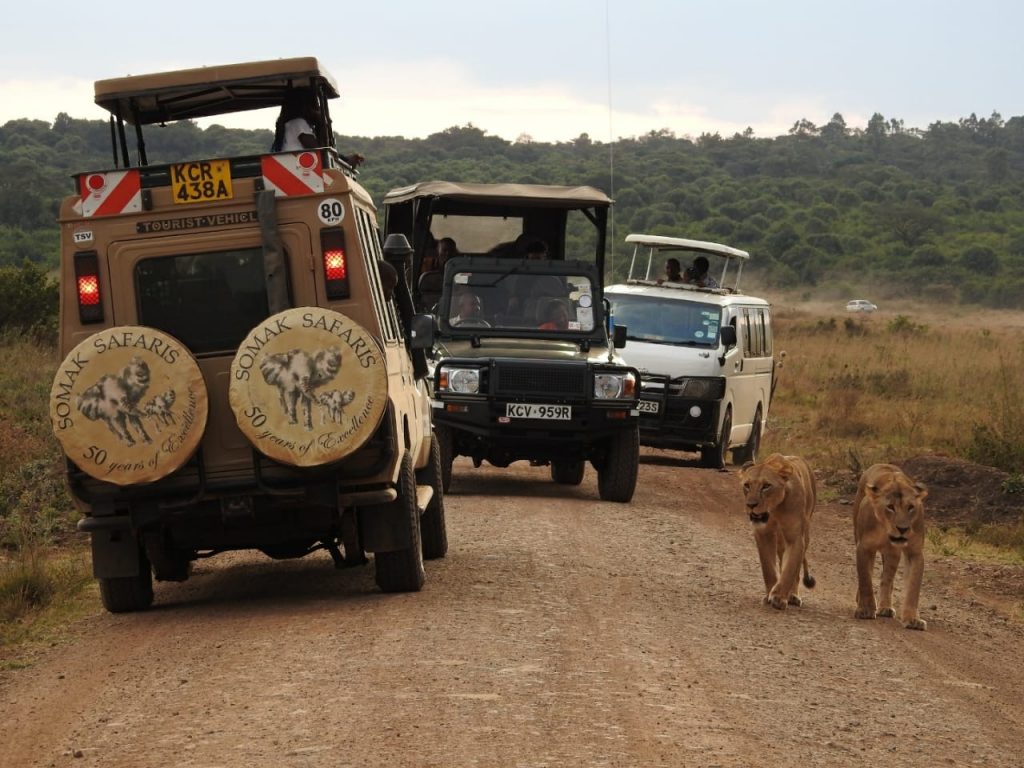 Somak vehicle beside two lions