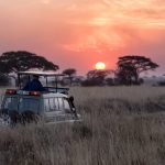 A safari fit for a Royal