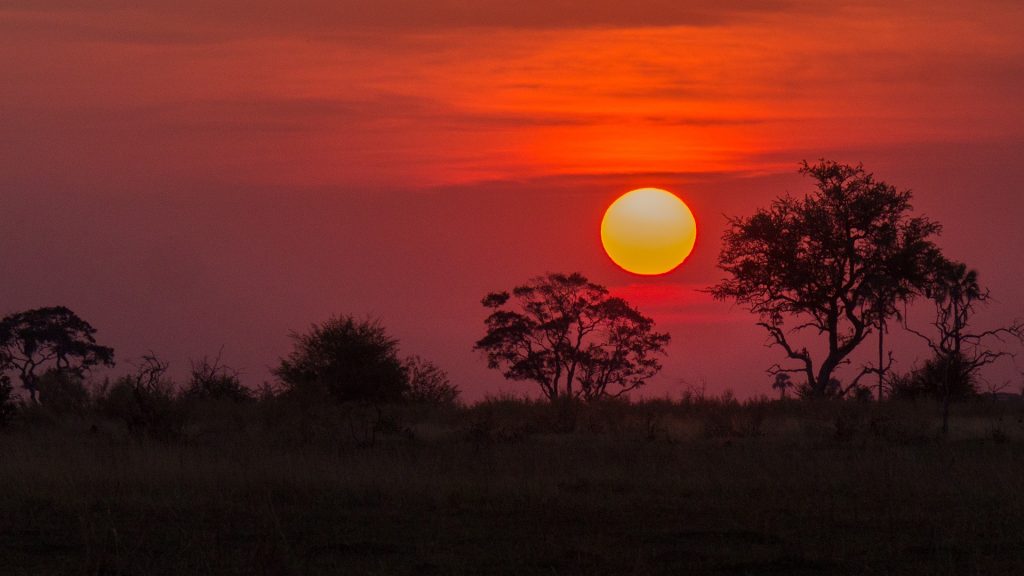 Botswana's sunrises and sunsets ignite the landscape, transforming it into a captivating spectacle. Light dances across the vast plains, casting dramatic shadows and igniting the clouds in a blaze of burnished hues.