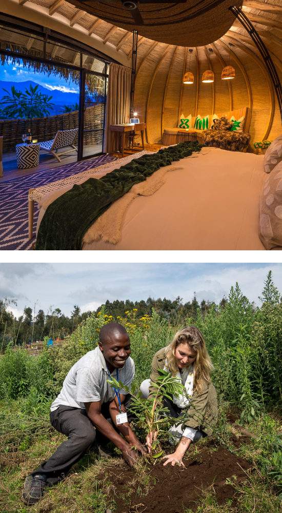 One of the rooms at Wilderness Bisate (top). This resort take's its responsability to the environment seriously with tree planing and other community initiatives to ensure a positive impact on the region.