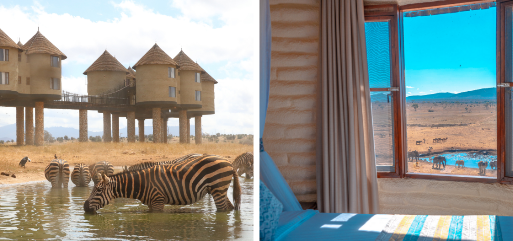 The Salt Lick hotel in Kenya is one of the most unusal and interesting places to stay where the stilted buildings allow animals to roam below your lodgings.