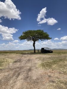 a scenic photo of a savannah with an acacia tree in the centre and a safari vehicle under the tree